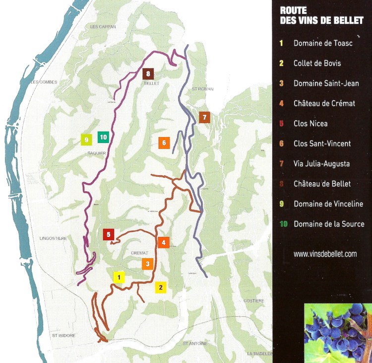 Route des Vins de Bellet1